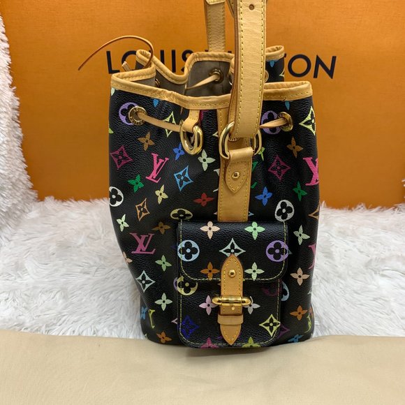 ❌SOLD❌ Louis Vuitton Petit Noe Multicolore bag - Picture 15 of 16